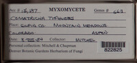 Image Associated With the Occurence